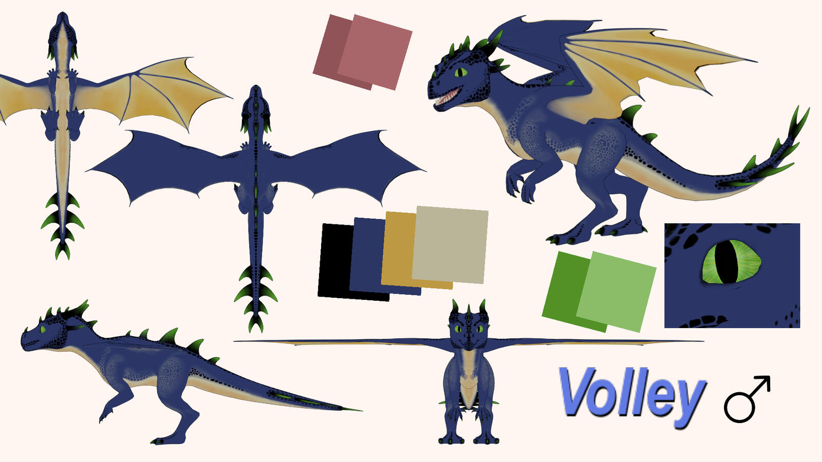 Reference Sheet Example #1